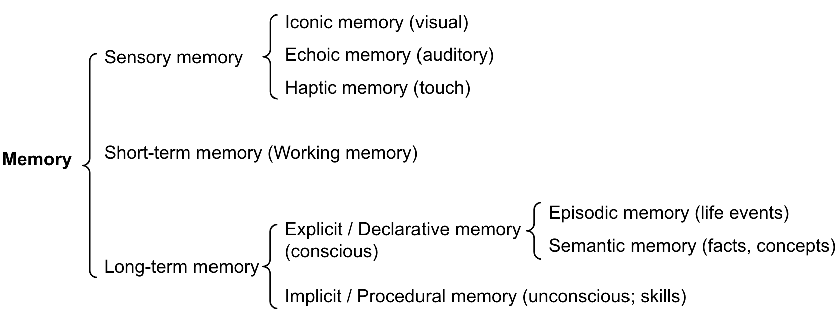 人类记忆分类